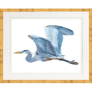 KS- BLUE HERON 11